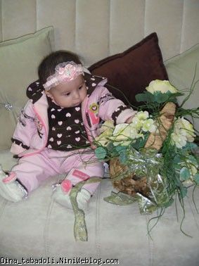 dina