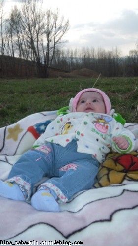 dina