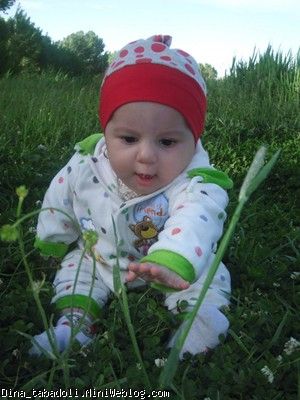 dina