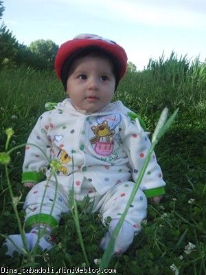 dina