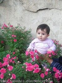 dina