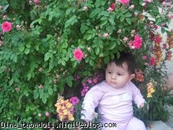 dina