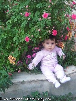 dina