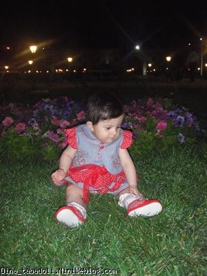 dina