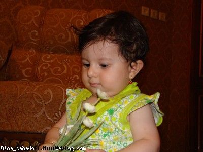 dina