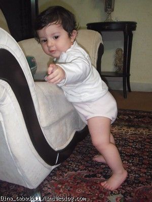 dina