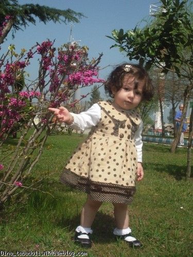dina