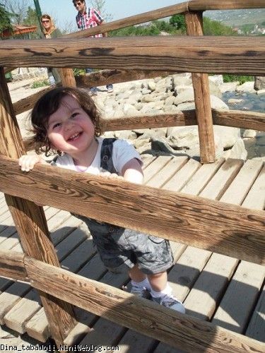 dina