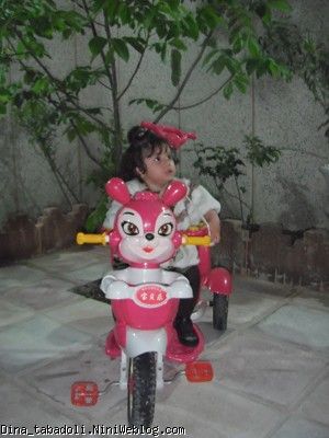 dina