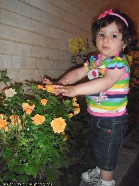 dina