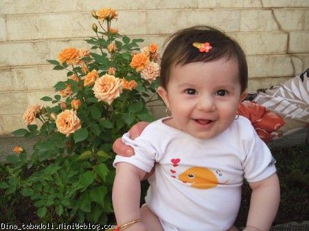 dina