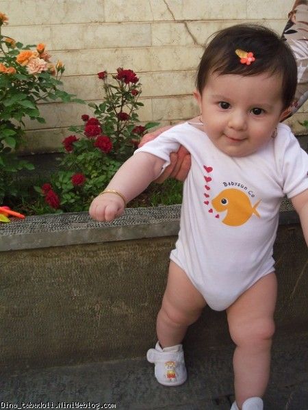 dina