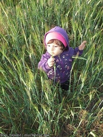 dina