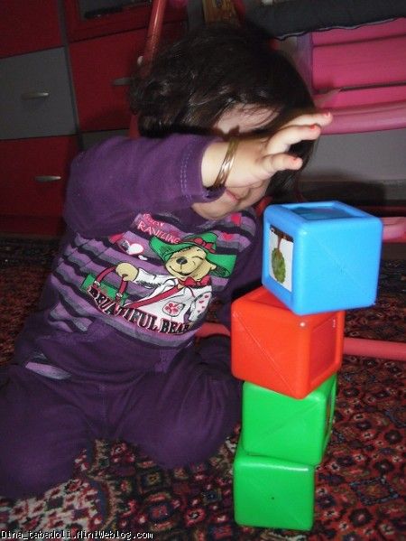 dina