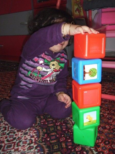 dina