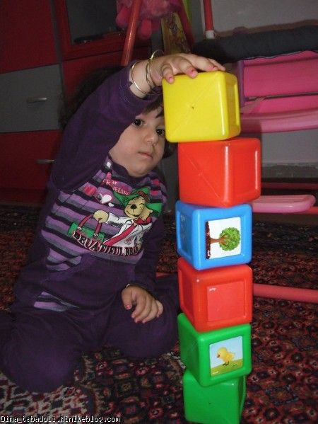 dina