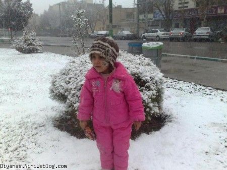 میدان گلها یا همون پنج طبقه خودمون