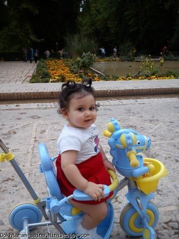 ساینا