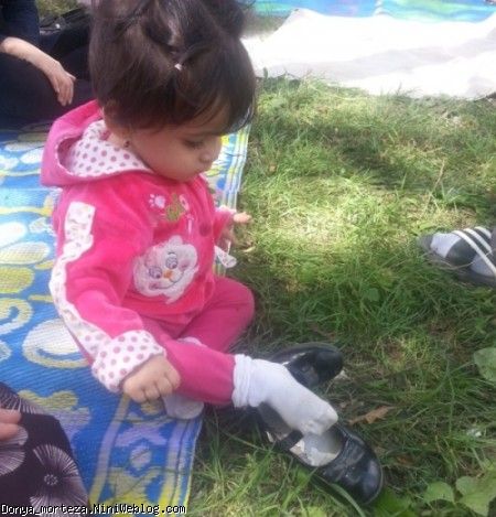 کفش