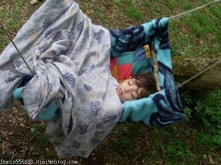 يه تاب صحرايي ( البته نه ! جنگلي ! ) از هنرهاي باباجونه . هميشه برات آماده داره. جنگل سي سنگان