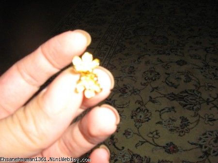 گواشواره های مهرسا