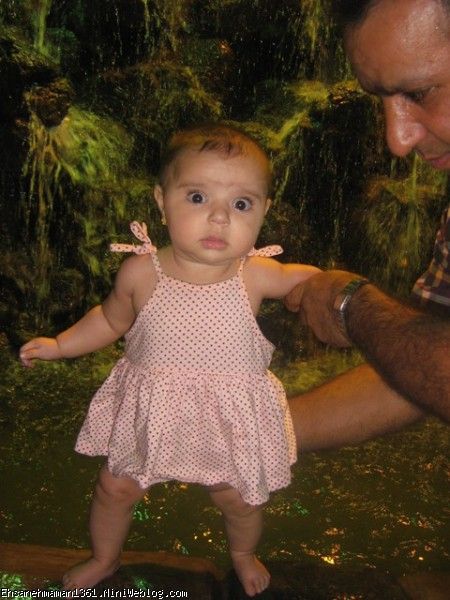 مهرسا کنار ابشار