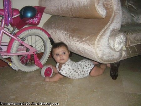 وباز مهرسا ودوچرخه