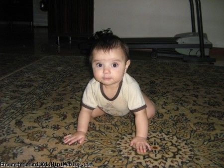 مهرسا درحال چهاردست وپا رفتن