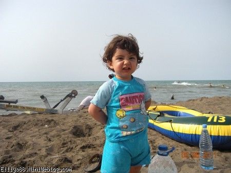 شمال