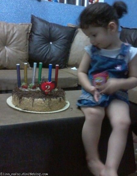 الینا در کمین کیک