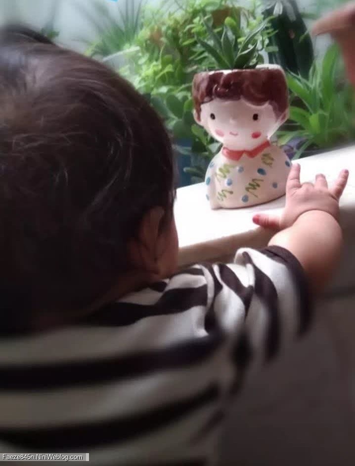 دوست جدید آقا یاسین 💙