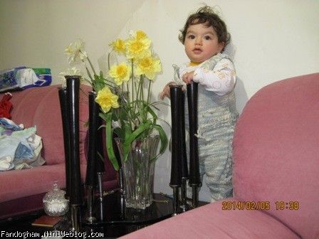 16 بهمن - روز آخر هفته چهارم ده ماهگی