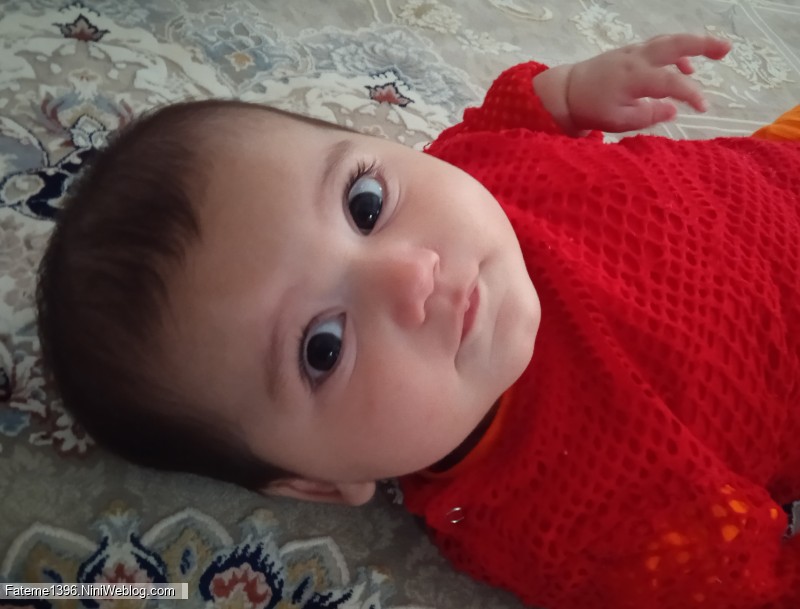 شش ماهگی،