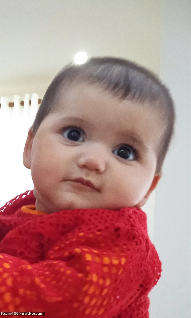 شش ماهگی