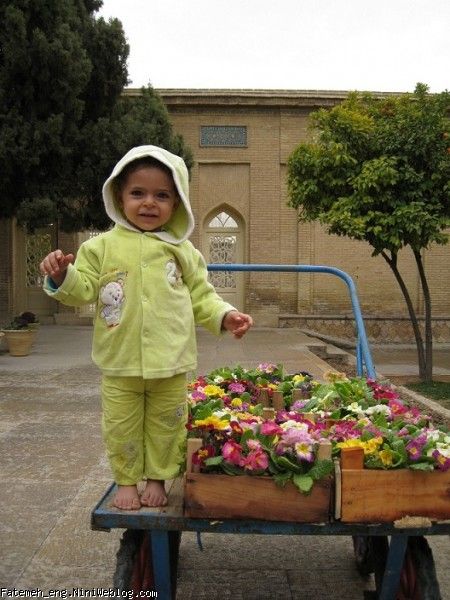 فاطمه در شیراز