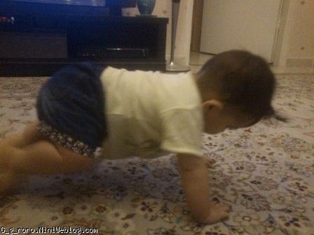 آغاز چهار دست و پا رفتن