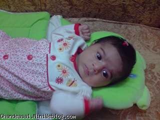 روشا 