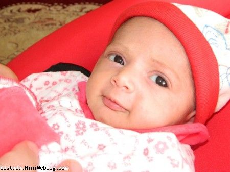 بدرفه مهمونا