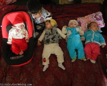 مهمون های کوچولوی النا