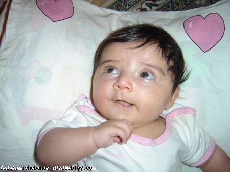 2 ماهگی