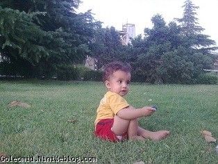 گل من آرتین