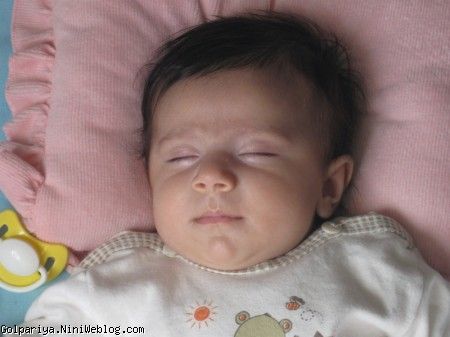 حالا می فهمم چرا جوجه ها تو آفتاب دوست دارن بخوابن .. چه حالی می ده !!!