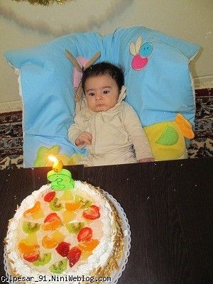 نی نی