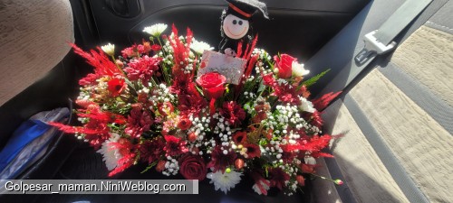 به پایان آمد این دفتر