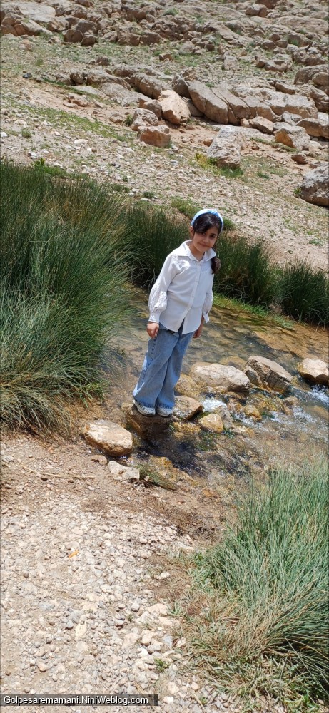 دهاقان گردی