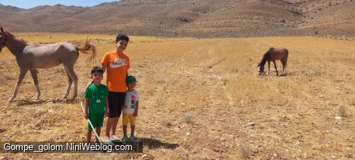 سفر به مزرعه