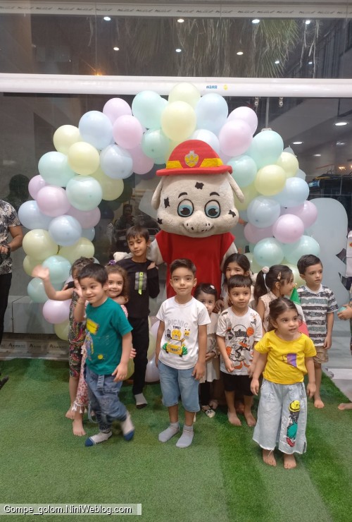 خانه بازی با طاها گلی