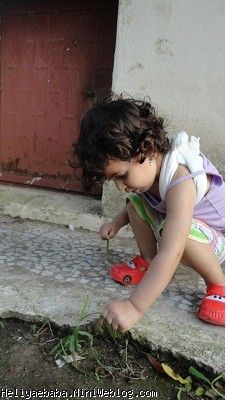بازی بامورچه ها