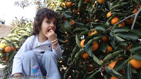 تا