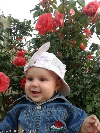 عکسای 5ماهگی حلما 